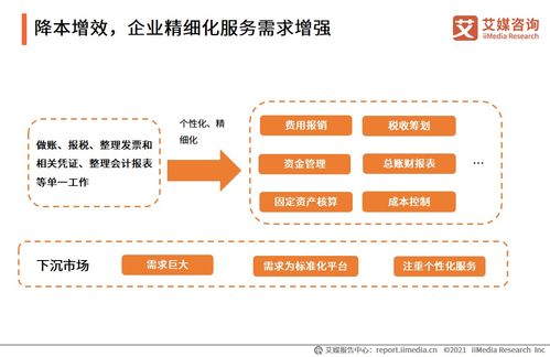 2021上半年中國財(cái)稅類企業(yè)服務(wù)專題研究 信息咨詢服務(wù)的變革與未來